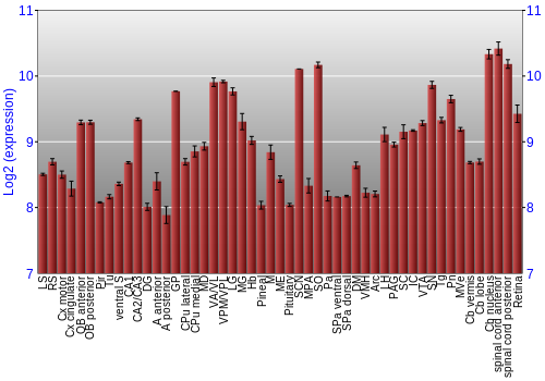 Expression graph
