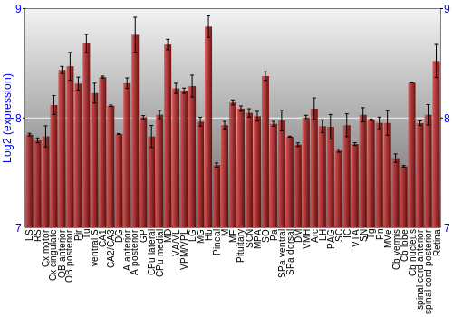 Expression graph