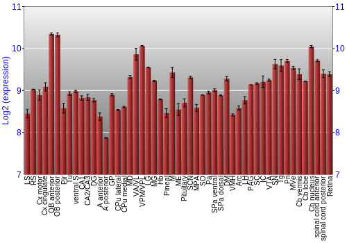 Expression graph