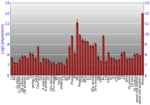 Expression graph