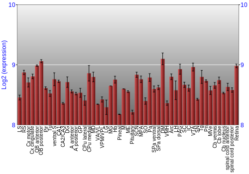Expression graph