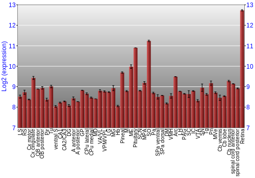 Expression graph