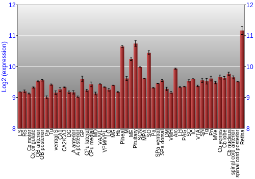 Expression graph