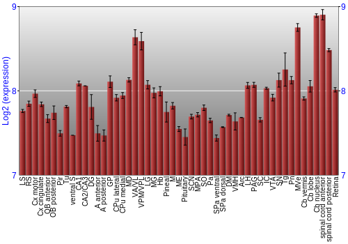 Expression graph