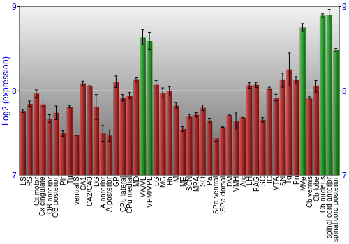 Multi-state expression graph