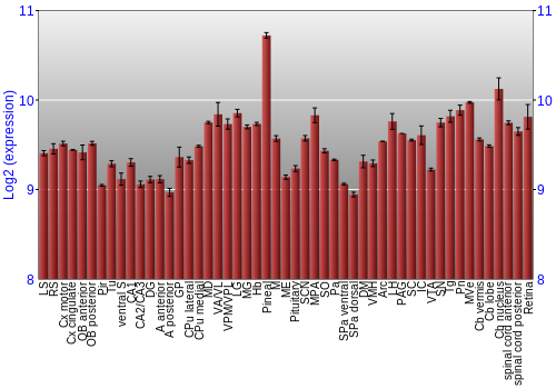 Expression graph