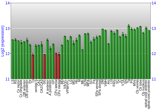 Multi-state expression graph
