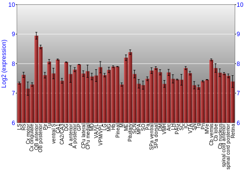 Expression graph