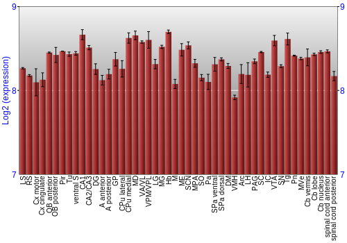 Multi-state expression graph