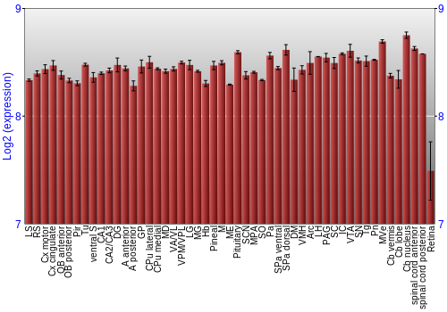 Expression graph