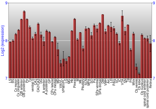 Expression graph