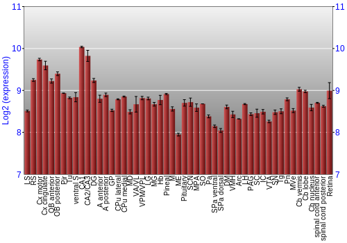 Expression graph