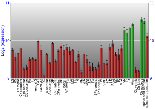 Multi-state expression graph