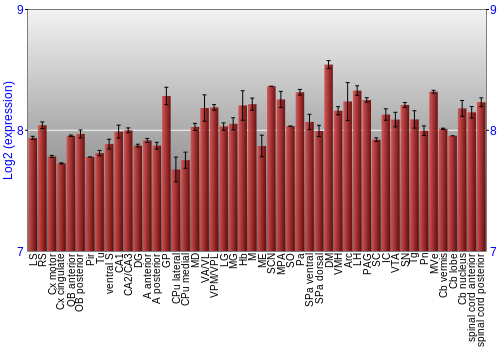 Multi-state expression graph
