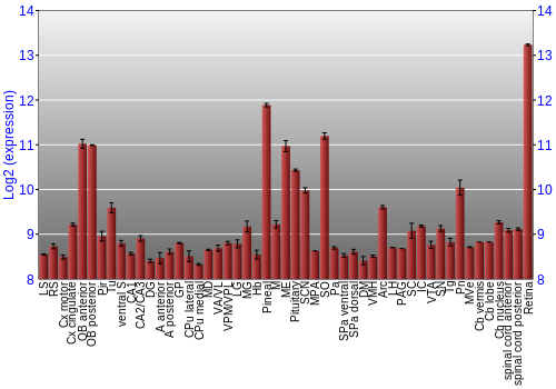 Expression graph