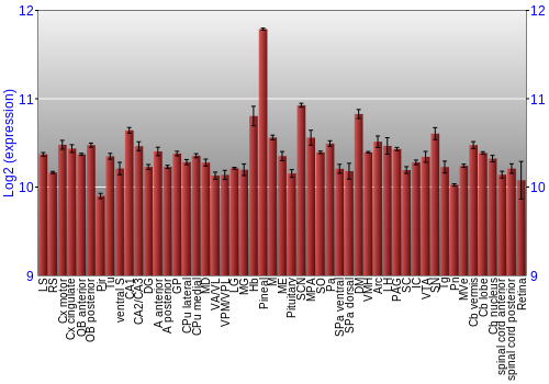 Expression graph