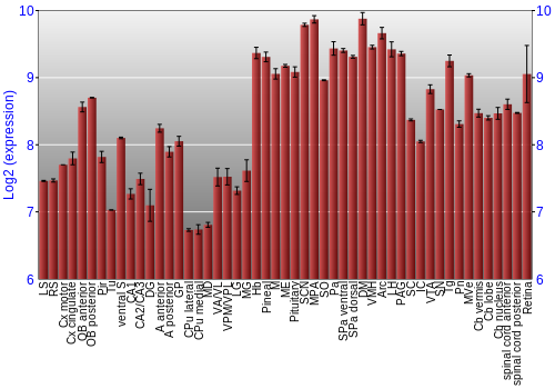 Expression graph