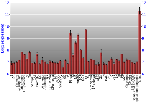 Expression graph