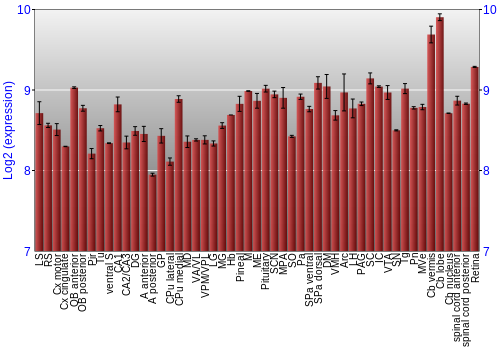 Expression graph