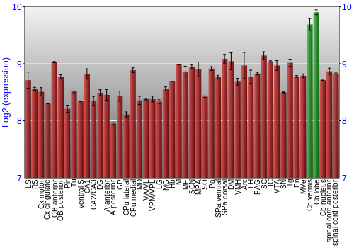 Multi-state expression graph