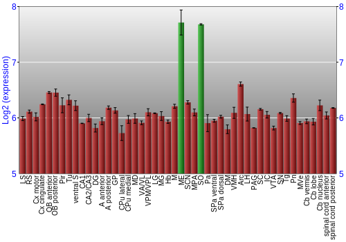 Multi-state expression graph