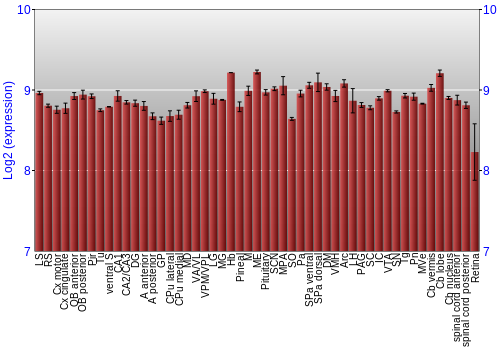 Expression graph