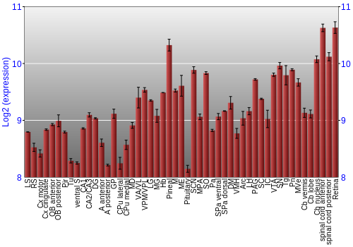Expression graph