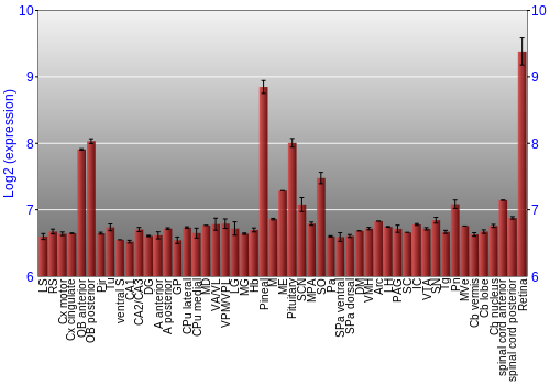 Expression graph