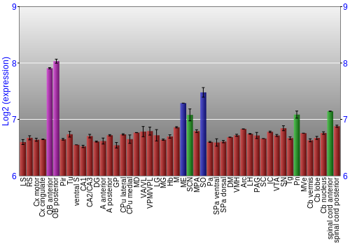 Multi-state expression graph