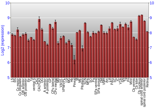 Expression graph
