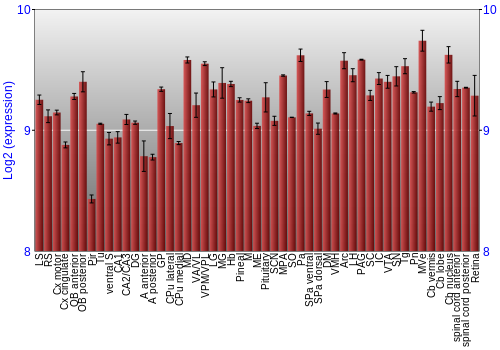 Expression graph