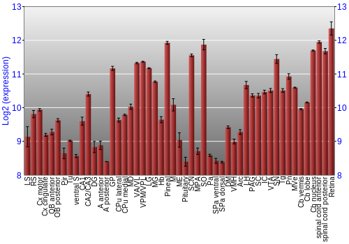Expression graph