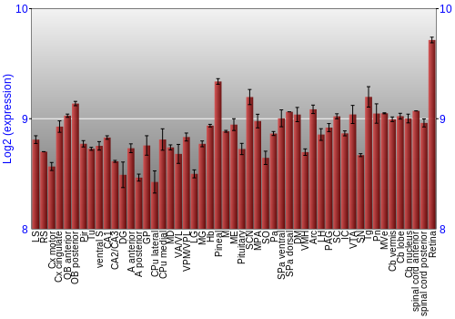 Expression graph