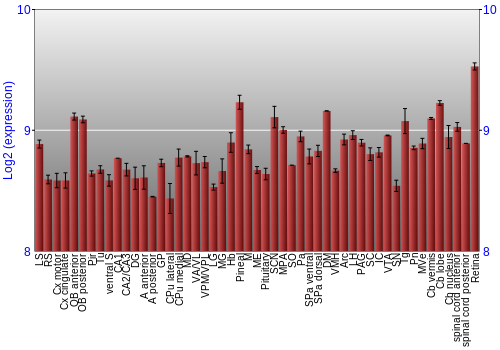 Expression graph