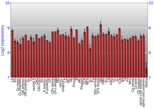 Expression graph