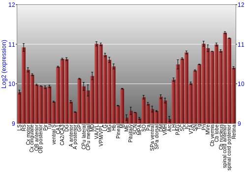Expression graph