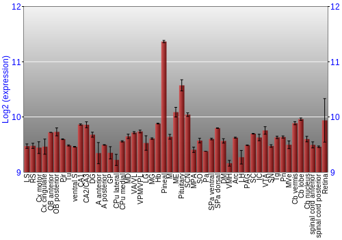 Expression graph