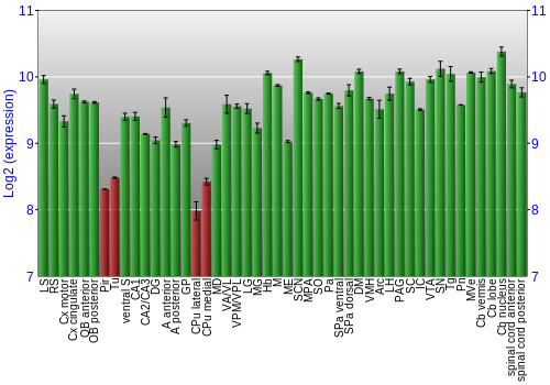 Multi-state expression graph