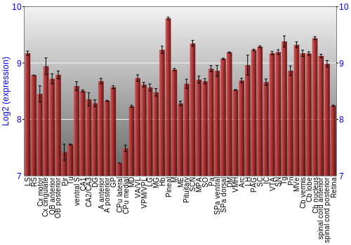 Expression graph