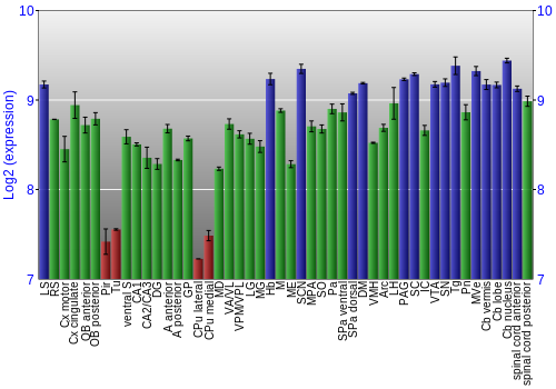 Multi-state expression graph