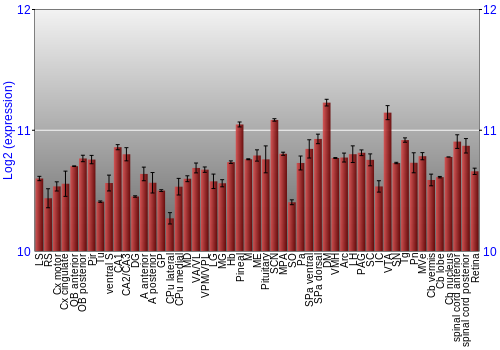 Expression graph