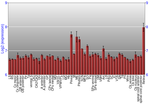 Expression graph
