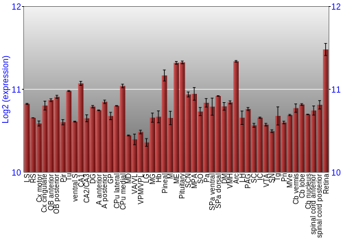 Expression graph
