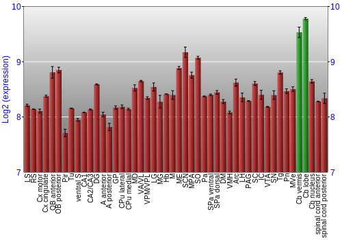 Multi-state expression graph