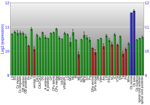 Multi-state expression graph