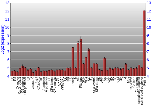 Expression graph