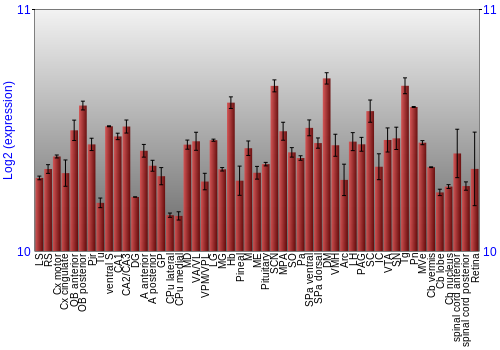 Expression graph