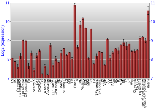 Expression graph
