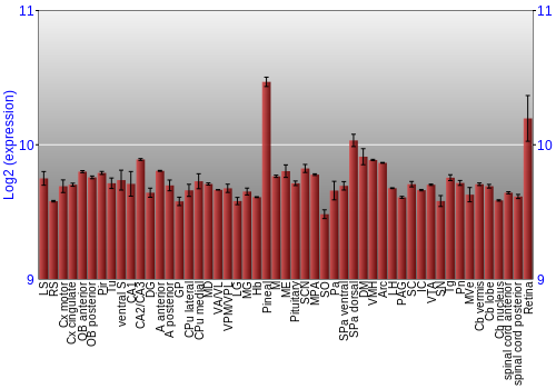 Expression graph