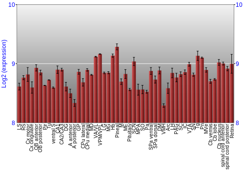 Expression graph